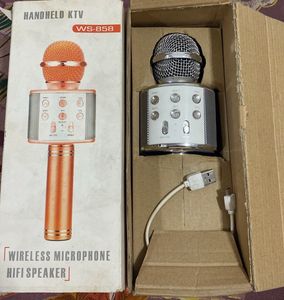 Karaoke Microphone