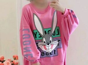 Korean Style Baggy Rabit Print Cute Pink Hoodie