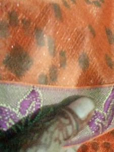 Orange Printed Saree