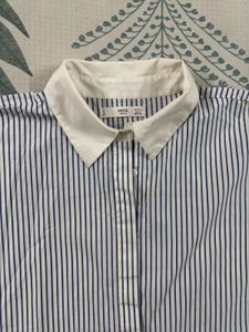 Striped Dolman Sleeve Blouse