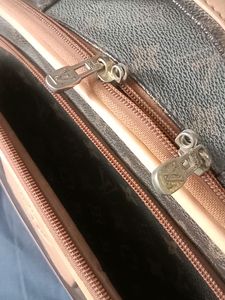 Louis Vuitton Copy Vanity Bag with long handle