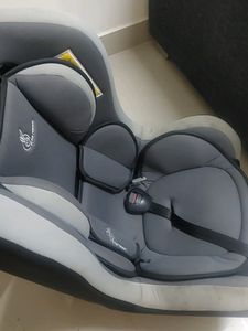 R For rabbit Car Seat