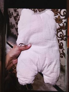 Baby Cushion