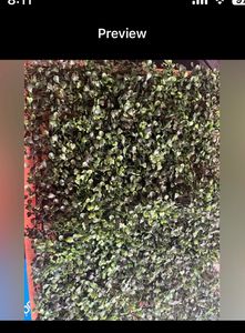 Artificial Wall Grass for Home Decor