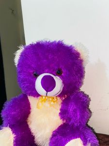 Purple Teddy Bear