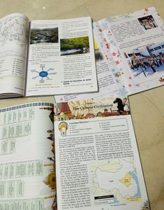 ICSE 6 Class Textbooks Combo