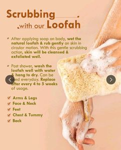 Natural Loofah Sponges (1 Pack)