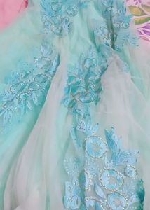 Elegant Gown With Cancan