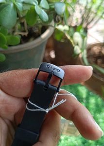 Original Casio Digital Watch