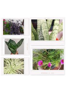 Any Two Plants