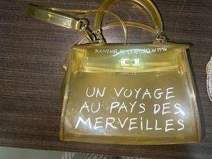 Funky Clear Handbag