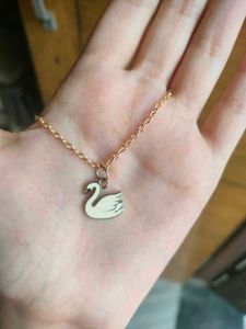 Necklace Set - 5 Charm Pendants