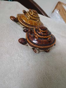 Vastu Tortoise Pair