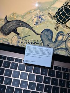 COSRX Centella Blemish Cream