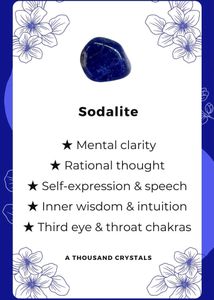 Sodalite Wire Wrapped Bracelet New