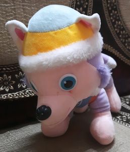 Cute Puppy