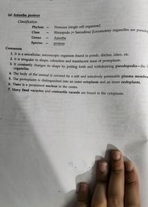 Lab Mannual 11th
