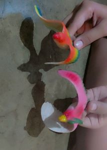 Animals