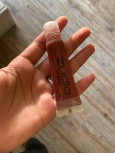 🥁PRICE DROP🥁Zudio Lip Gloss