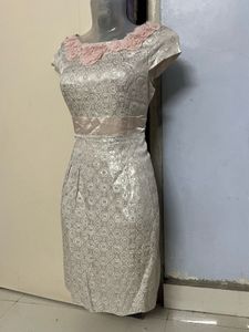 Korean Silk Silver Bodycott One Piece