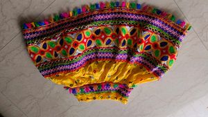 Lehenga Choli/Navratri /Janmashtami Costume