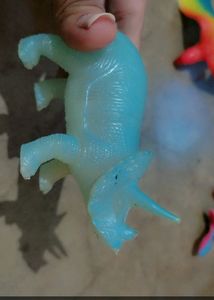 Animals