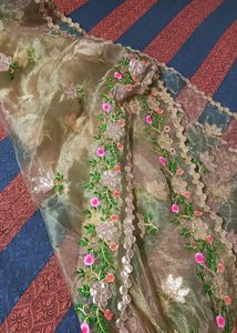 Golden Organza Dupatta ✨✨