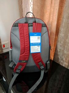 Skybags Bagpack