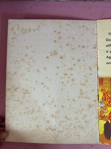 Ramayan Book In English