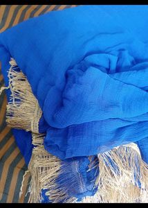 Elegant Blue Dupatta