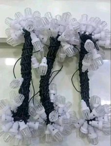 Indian Diamond Diwali Decoration Light 40Feet