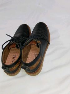 Tiger Hill Black Casual Shoes