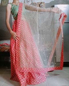 Stylish Lehenga Choli Set