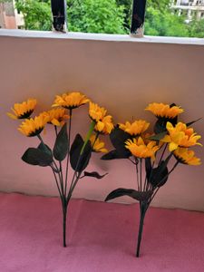 Yellow Sun Flower Bunches