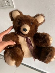 New Teddy Bear 🧸