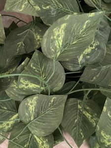 Decorative Plant Leaves Vine Creeper Hanging