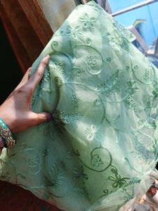 Beautiful Net Saree