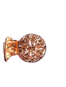 Brand New Hair Clip