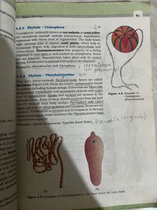 Important Marked NCERT Biology