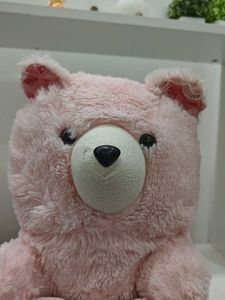 Pink Teddy Bear