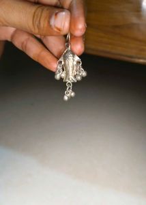 Silver Fish