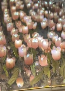 Tulip Lamp🌷