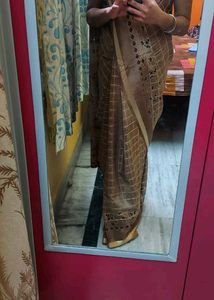 glossy soft stylish saree