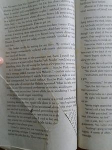 The Host by Stephenie Meyer