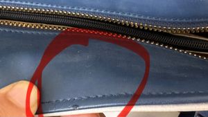 Satya Paul Tote Bag ( Has Flaw But New)