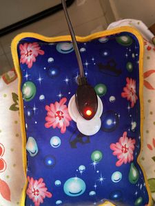Electric Hot Water Bottle