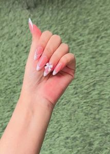Press On Nails With Manicure Kit