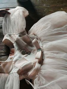 Elegant Pink &amp; Silver Dress