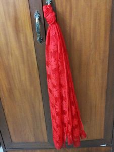 Elegant Red Lace Dupatta