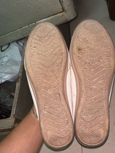 White Bow Mules